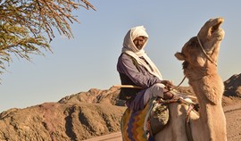 The real historic mountain inhabitants, Ababda  Photo